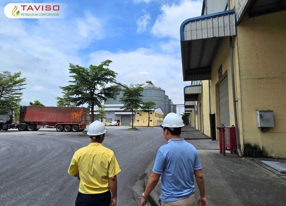 Tân Việt Sơn, TAVISO, Bã đậu nành & nông sản sạch_ TAVISO tăng cường XK-NK (2)